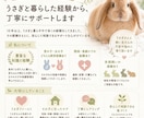 食欲・ケア・性格等、うさぎ飼育のお悩み相談受けます 初心者さんから、長年一緒に暮らす方まで、丁寧に相談受けます イメージ3