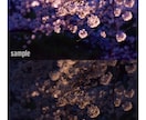 SNS用の写真を編集します SNSに載せる写真を少しの写真編集で羨ましがられる1枚に★ イメージ2