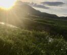 保育士さん限定！子どもへの願いと大変さ受け止めます 子どもや保育者や保護者多くの人間関係に疲れていませんか？ イメージ3