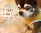 介護の悩み1人で抱え込まないで聞きます 誰にも言えない介護の悩みお話し聞きます。 イメージ1