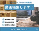 ベーシックプラン→動画編集、制作いたします SNS用動画やセミナーのフルテロップなどお任せください！ イメージ1