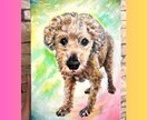 魂の輝きを描くペット似顔絵 原画配送致します うちのこアート：写真とエピソードから光を紡ぐアナログ原画 イメージ10