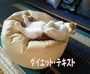 本気で痩せたい方☘️プロがダイエット方法教えます ☆ボディメイク歴39年の匠が痩せる極意❕❕こっそり伝授✨ イメージ1