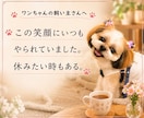 愛犬への愚痴をこぼしたい。優しくお聞きします 可愛いからこそ、ストレスが溜まる。寄り添います。 イメージ2
