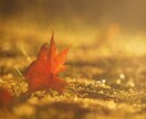 現役看護師が気持ちを受け止めます まとまらなくても、そのままで大丈夫ですよ。 イメージ4