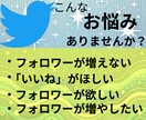 X・旧Twitterの外国人フォロワーを増加します X・旧Twitterのフォロワーの増加します イメージ2