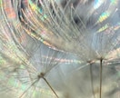 欠点だと思っている資質を活かす方法をお伝えします ｜その生きづらさ、欠点ではなく“使い方”かもしれません イメージ10