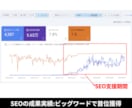 スポットでSEO/UI/CVR改善指示書作成します 大手SEO企業の実務経験を活かし具体的な提案を行います イメージ5