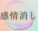 記憶・心・潜在意識から、望まない感情を削除します ふわっとした体感のヒーリングとは違い、しっかり結果が出ます。 イメージ2
