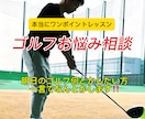 ゴルフワンポイントレッスン教えます あなたが本当に優先すべき必要なワンポイントだけを教えます。 イメージ1