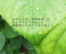 パワハラで会社に行く足が止まってます 明日を考えたら、日が終わるのが怖い。また明日がくる……… イメージ10