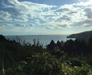 1週間佐渡島の自然豊かな写真を届けます。普段味わうことのない田舎ならではの自然を感じて頂きたいです。 イメージ1