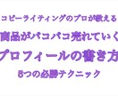 商品が売れるようになるプロフィールの書き方教えます 一撃で改善するココナラプロフィール必勝法！ イメージ1