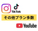 TikTokのフォロワー1000人増やします ✨2000人〜のプランもあります✨保証あり✨ イメージ4