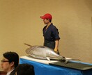 魚屋のスキル活かしたいと思います 何か御役にたてないでしょうか？ イメージ3