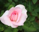 １週間集中！痩せない理由を見つけます 何をやっても痩せない！【痩せない理由】を見つけませんか？ イメージ5