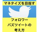 Twitterのフォロワー増やす方法教えます アフィリ 、集客したい方へ、バズる、RTを増やす方法を伝授 イメージ1