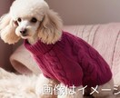 あなたの愛犬にぴったりの編み図を作ります 愛犬にぴったりのセーターが編めるようお手伝いします！ イメージ1