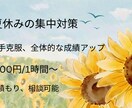 夏休み勉強苦手克服のお手伝いをします 夏休みに苦手科目をなくし良い新学期を送れるようにしよう！！ イメージ1