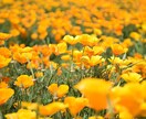 あなたのお悩みお聞きします 仕事、恋愛、家事、人間関係…心が疲れてしまったなぁという時に イメージ2