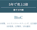 WEB戦略・ホームページを格安で診断します WEBマーケティングの専門家が売上アップの診断をします イメージ5