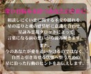 誰にも言えない恋の行方を、星と霊視タロットで視ます 秘密の恋、相手の気持ちは今どうなっているか占います イメージ5