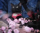 大切な家族の写真を出張撮影しますます いつもの表情や仕草を自然な雰囲気で写真に残します イメージ4