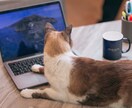 うちの子が1番✨あなたの愛猫の自慢話をお聞きします 誰より猫に癒されたい僕が、とことん猫トークにお付き合いします イメージ8