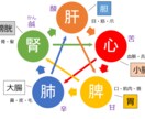 鍼灸師が身体のことや健康相談に乗ります 東洋医学の専門家があなたの身体を分析！ イメージ1