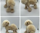 羊毛フェルトで作るリアルな犬の制作方法になります 愛犬さんを羊毛フェルトで作ってみませんか？ イメージ2
