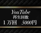 １再生０.５円⭐️YouTube１万回＋宣伝します 販売実績千件記念⭐️GW割あり⭐️６０日保証付きで安心♪ イメージ1