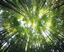 あなたのデートプランを一緒に考えます デートに不安や疑問がある方へ。話してかいしょうしませんか？ イメージ2