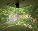 VRゴーグル不要の全員参加型VRを提案します 360°動画再生に最適なVRプロジェクターを使用したイベント イメージ2