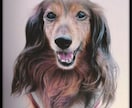 A5サイズ色鉛筆画を制作いたします 写真とはまた違った温かみのある作品を制作いたします。 イメージ3