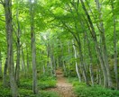 愚痴・恋愛話、些細な事でも聞きます 褒めて欲しい人、ただ聞いて欲しい、話し相手が欲しい方どうぞ！ イメージ1