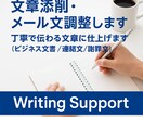 ビジネス文書やメールを分かりやすく整えます 丁寧で伝わる文章に仕上げます。短納期も対応可 イメージ1