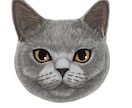 愛猫様の似顔絵をデジタルで描きます 愛猫様のグッズ化計画を後押しいたします!!! イメージ5