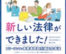 契約書┃フリーランス新法┃2枚セットを作成します 作り直しが無いよう、最初から実務に強い契約書を作りませんか？ イメージ3