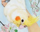 愛鳥さんを水彩絵の具で【ミニ色紙】に描きます 鳥さんの誕生日・記念日にちなんだお花を添えて水彩画を描きます イメージ3