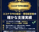 SDGs事業立ち上げをプロが3日間サポートします ココナラPRO /現役経営者がSDGs事業を集中伴走! イメージ4