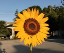 第２の人生を語り合います 定年退職は殉職ではありません。豊かな人生が残っています。 イメージ1