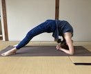 ヨガプライベートレッスンを実施します 今の自分を好きになることをモットーにしています。 イメージ5