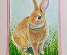 あなたのペットを色鉛筆で可愛く優しく描きます インスタでも描いた絵を沢山アップしています イメージ4