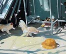 背景イラストを描きます アニメ背景やゲーム背景を中心に承ります。 イメージ1