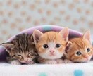 カウンセリングで心を楽にします お忙しいあなたへ 対人関係のなやみ・うつ・不安・依存・恋愛 イメージ2
