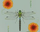 爬虫類や昆虫などペットのイラストを作成します 【うちの子】をイラストとして残してみませんか イメージ1