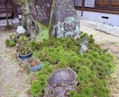 躁うつ病歴25年の浄土真宗の僧侶がお話聞きます 仏教の僧侶だからこその話が出来ると思っています。 イメージ4
