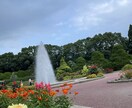 京都市内の観光地、穴場スポット写真代行致します 『コロナ禍でなかなか京都観光に行けない』という方に必見‼︎ イメージ5