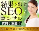 上位表示のSEO対策｜質問し放題のコンサルをします SEOの悩みを何でも相談！プロが解決します！ イメージ1