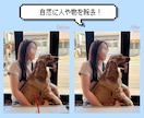 即日対応‼︎ 写真の加工承ります 肌補正 / 人•物 除去 / 青空加工 お任せください イメージ3